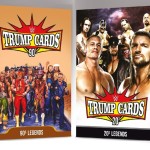 Aamango WWE Combo Pack - 90s &amp; 20s Legend (90s WWE Pack + 20s WWE Pack - 2 Packs)